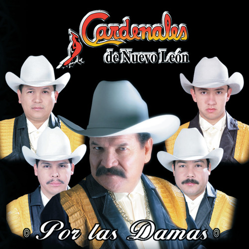 Cardenales de Nuevo León — Belleza de Cantina cover artwork