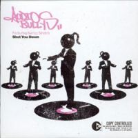 Audio Bullys featuring Nancy Sinatra — Shot You Down cover artwork