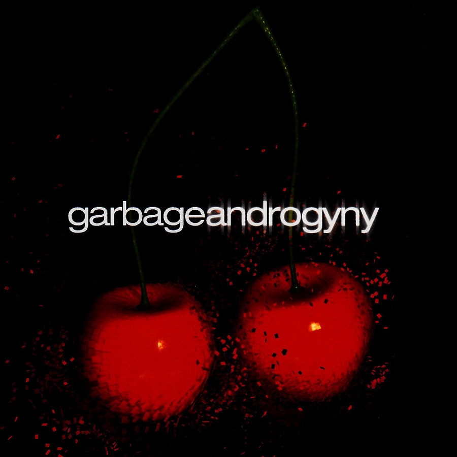Garbage — Androgyny cover artwork