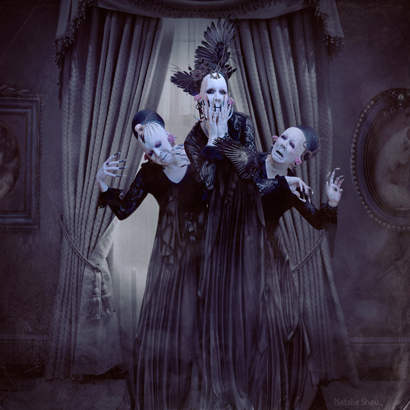 Sopor Aeternus &amp; The Ensemble of Shadows Have You Seen This Ghost? cover artwork