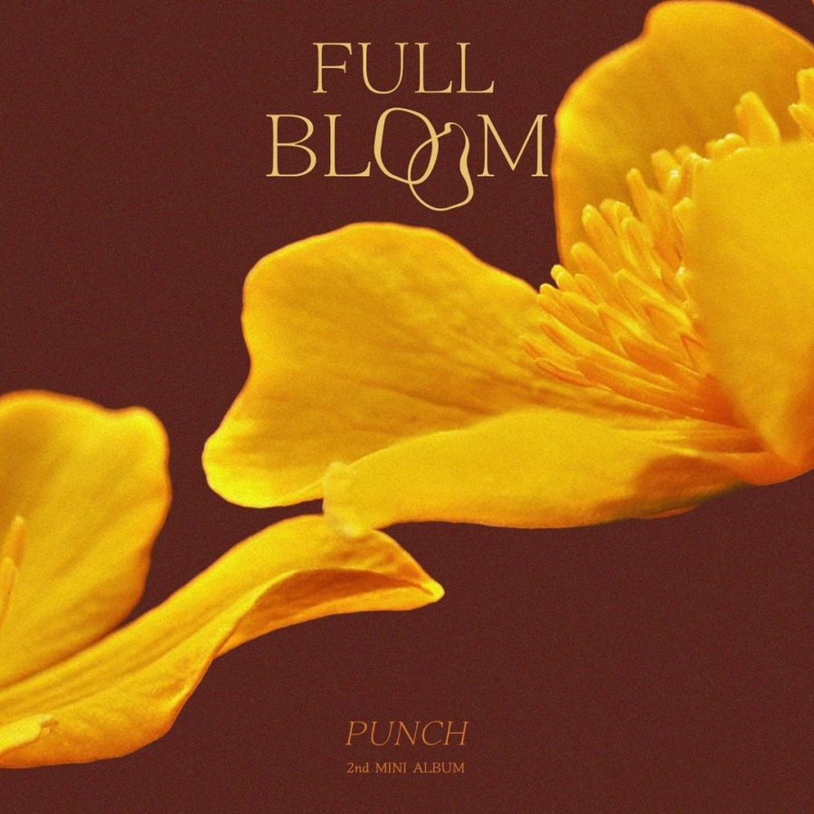 Punch Full Bloom cover artwork