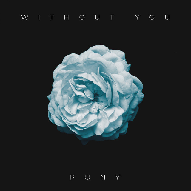 PONY — Without You cover artwork