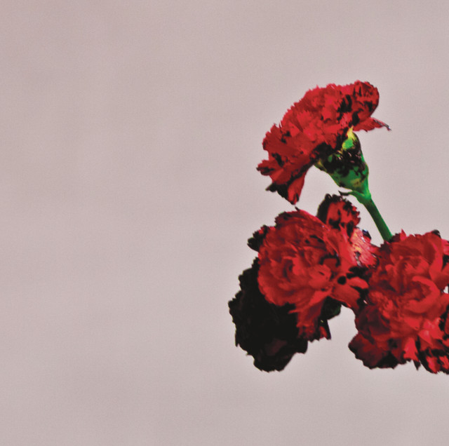 John Legend featuring Rick Ross — Who Do We Think We Are cover artwork