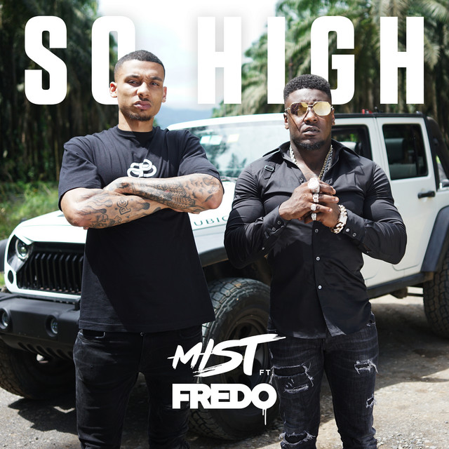 MIST featuring Fredo — So High cover artwork
