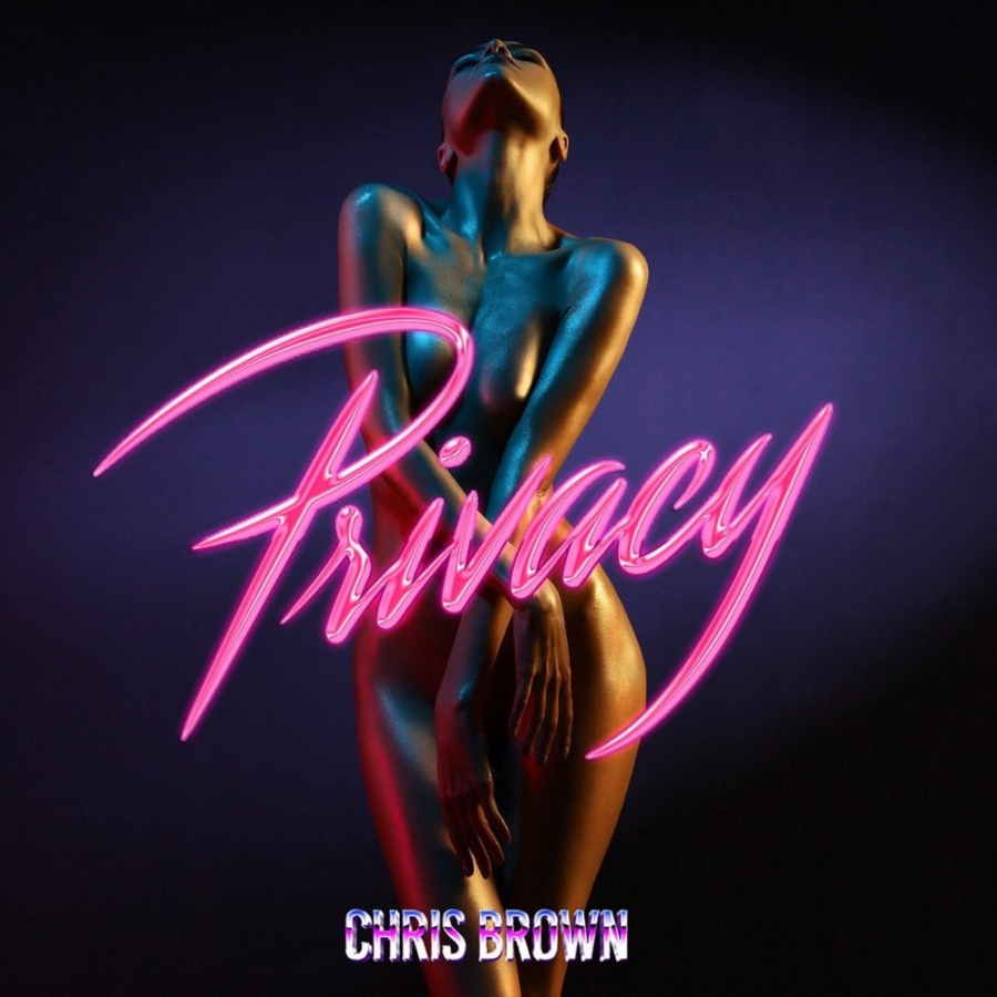 Chris Brown Privacy cover artwork