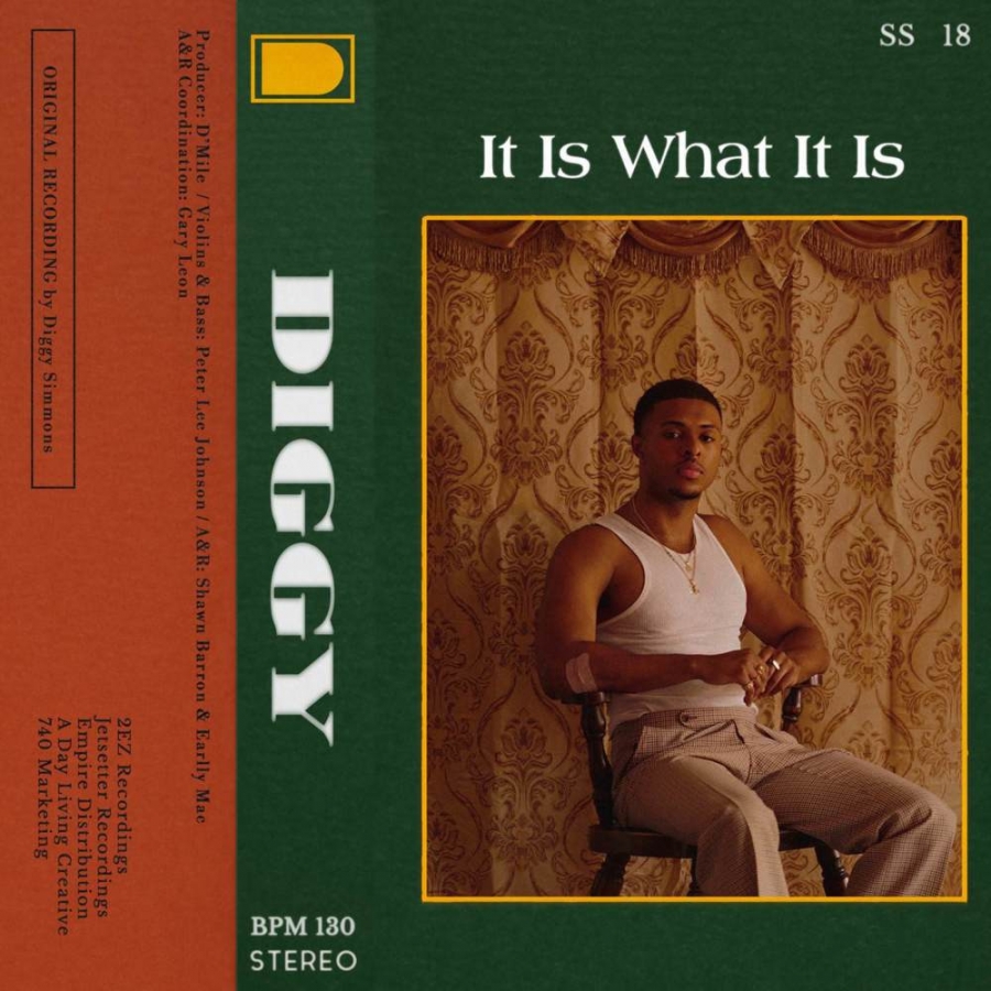 Diggy It Is What It Is cover artwork