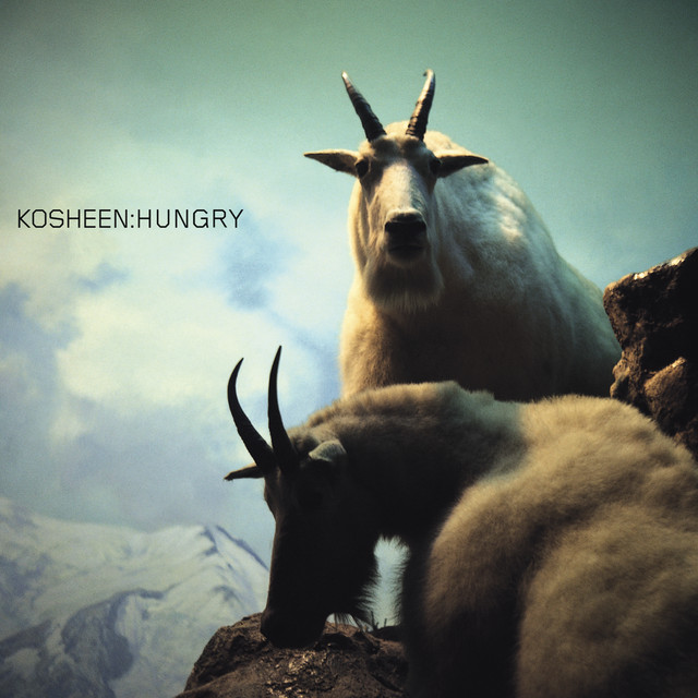 Kosheen — Hungry cover artwork