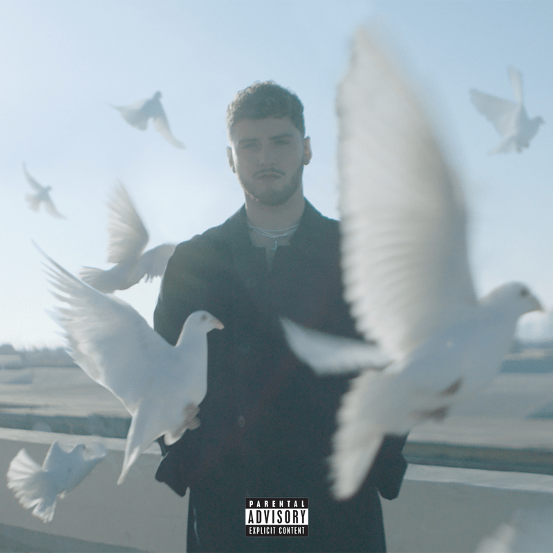 Bazzi — Soul Searching cover artwork