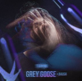 Bozza ft. featuring Bausa Grey Goose cover artwork