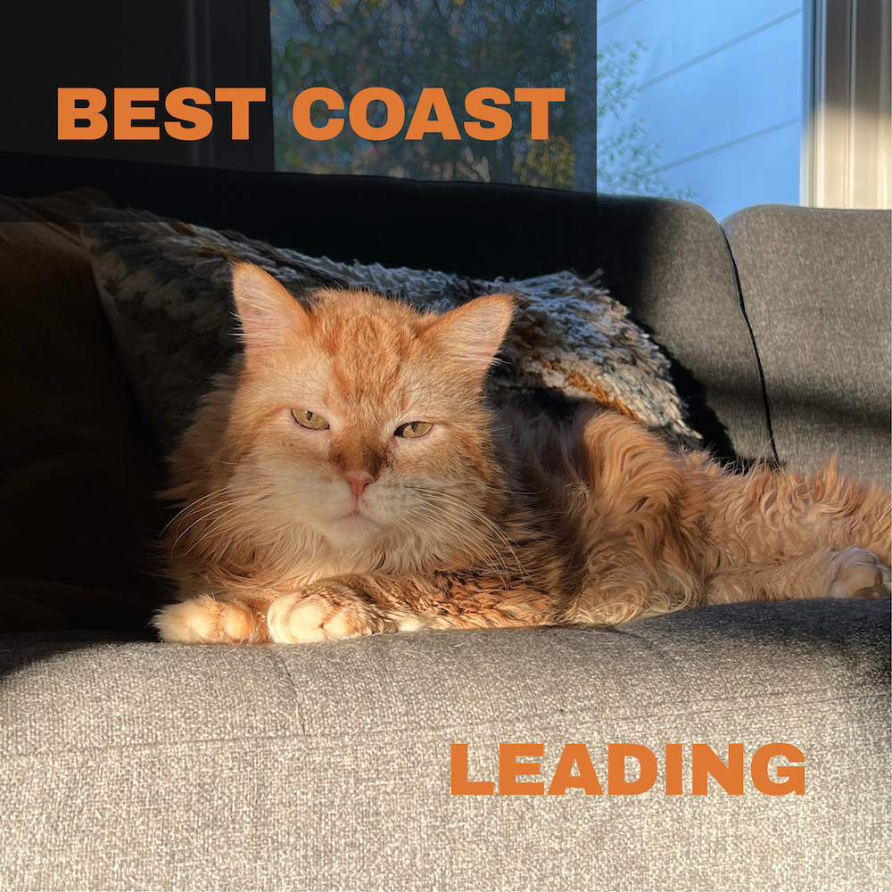 Best Coast — Leading cover artwork