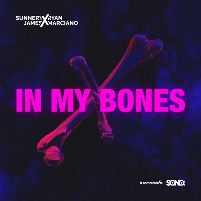 Sunnery James &amp; Ryan Marciano — In My Bones cover artwork