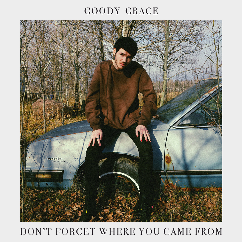 Goody Grace Don&#039;t Forget Where You Came From cover artwork