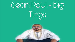 Sean Paul Big Tings cover artwork