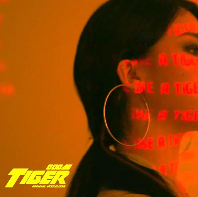 bobae — Tiger cover artwork