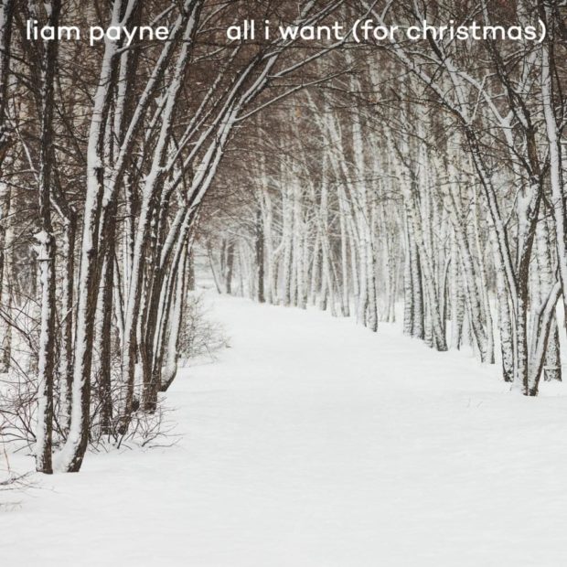 Liam Payne All I Want (For Christmas) cover artwork