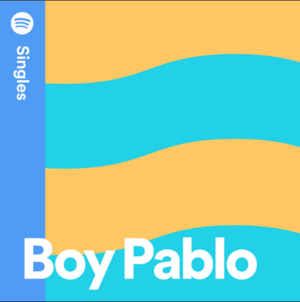 boy pablo 50 Souls and a Discobowl cover artwork