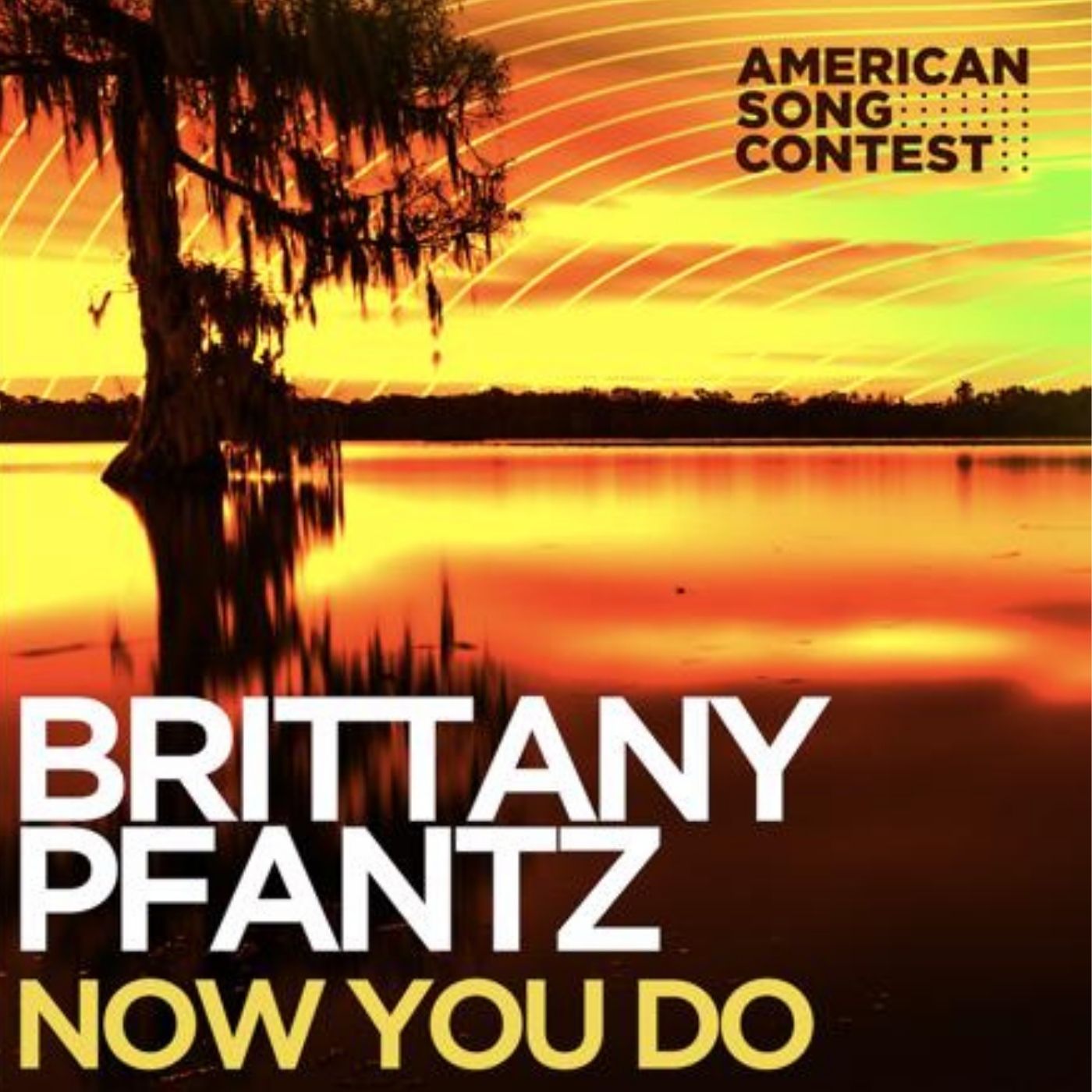 Brittany Pfantz Now You Do cover artwork