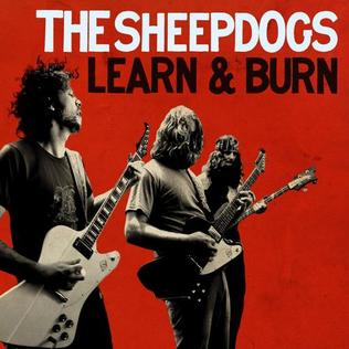 The Sheepdogs Learn &amp; Burn cover artwork