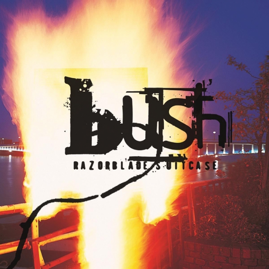 Bush — Greedy Fly cover artwork