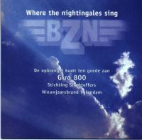 BZN Where The Nightingales Sing cover artwork