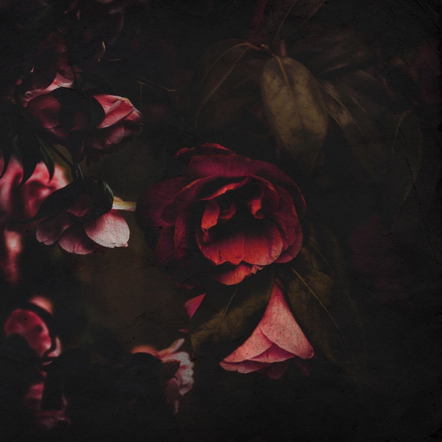 Chip — Flowers cover artwork