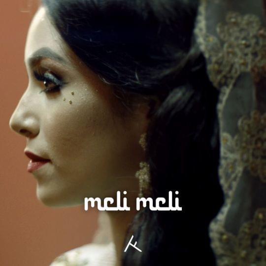 Ali B & Numidia ft. featuring Ronnie Flex Meli Meli cover artwork