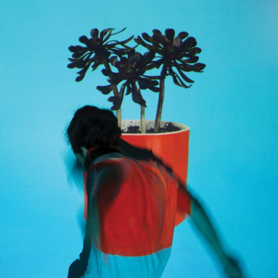 Local Natives — Sunlit Youth cover artwork