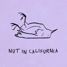 K.Flay Not in California cover artwork