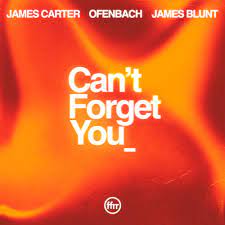 James Carter & Ofenbach ft. featuring James Blunt Can&#039;t Forget You cover artwork