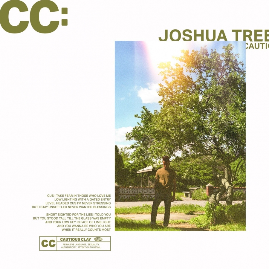 Cautious Clay — Joshua Tree cover artwork