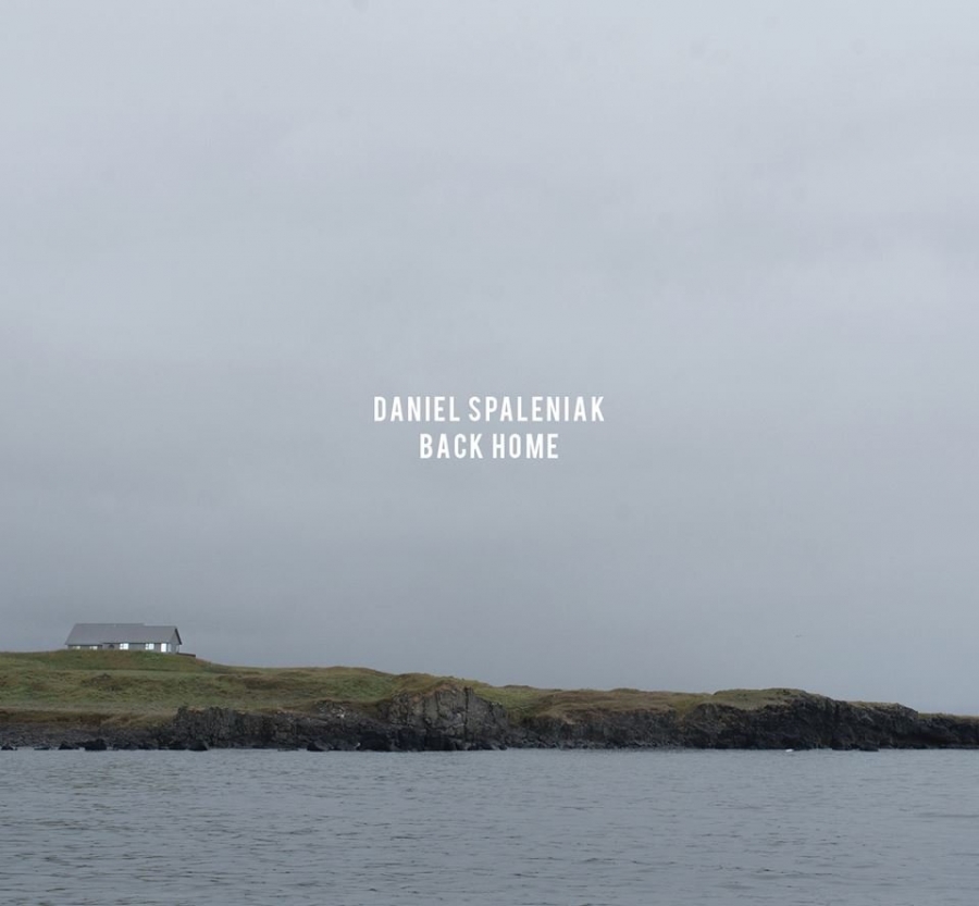 Daniel Spaleniak — Liar&#039;s blues cover artwork