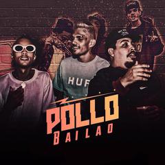 Pollo — Bailão cover artwork