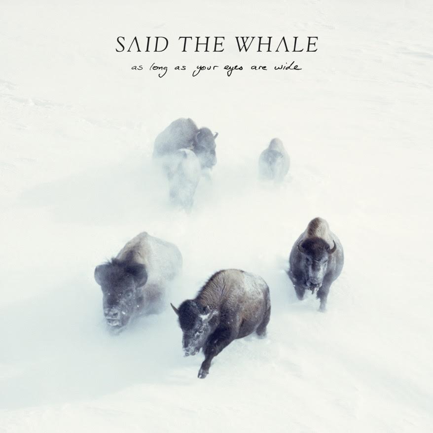 Said the Whale — Confidence cover artwork