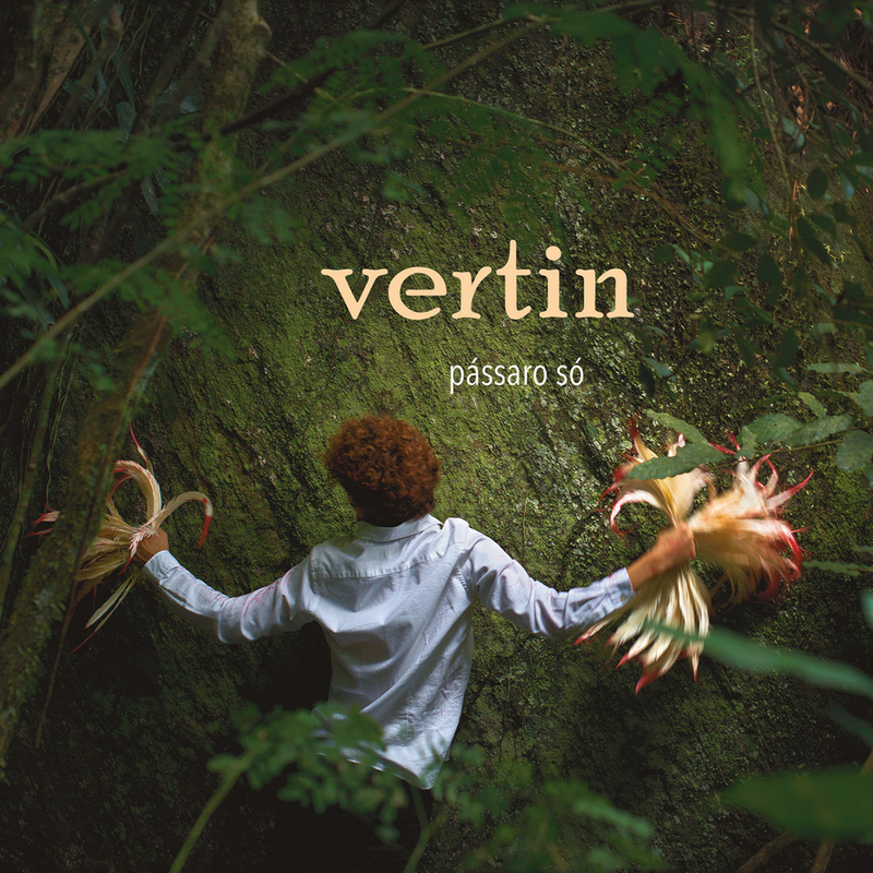 Vertin — Vou Voltar cover artwork