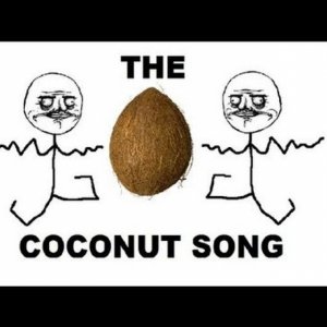 Jeff Lau The Coconut Song - (Da Coconut Nut) cover artwork