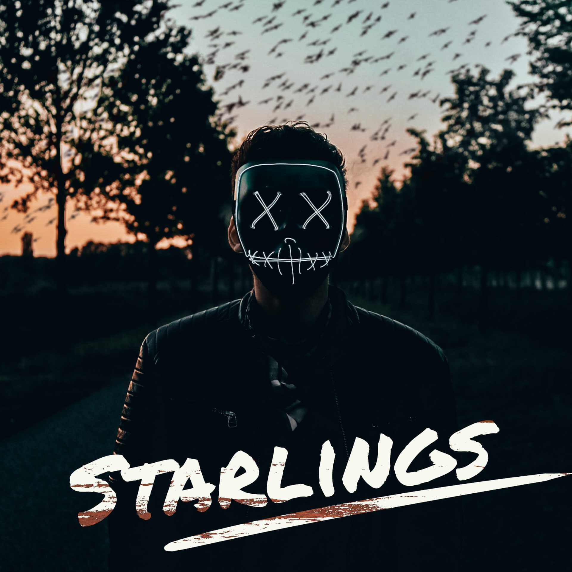 Covered In Snow — Starlings cover artwork