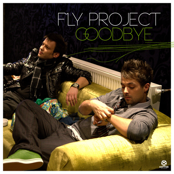 Fly Project Goodbye cover artwork