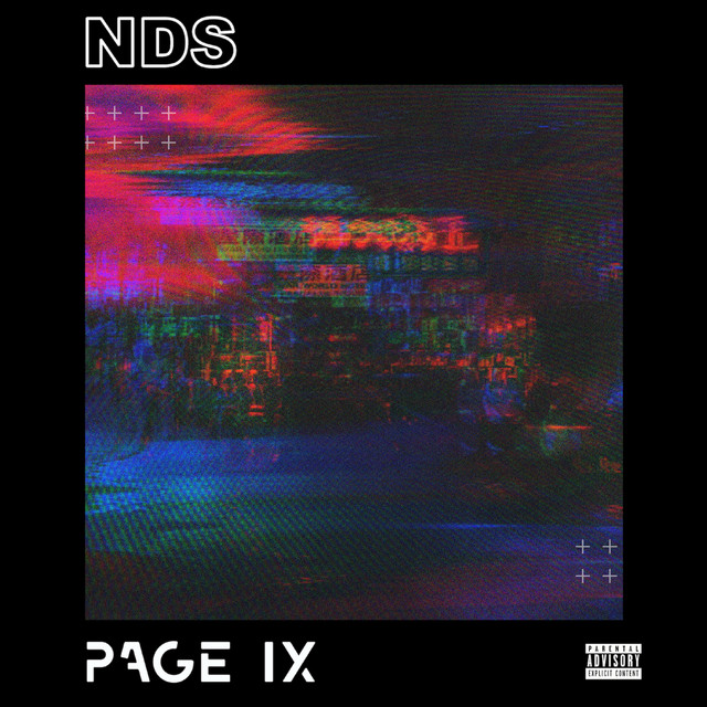 NDS Page IX cover artwork