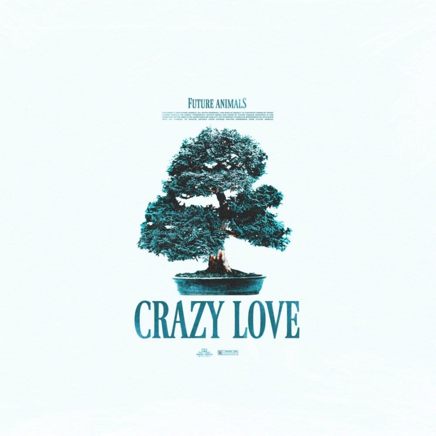 Future Animals — Crazy Love cover artwork
