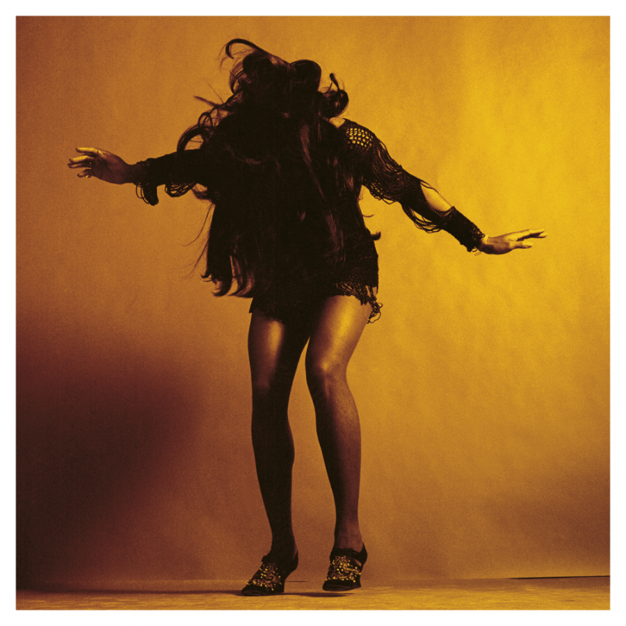 The Last Shadow Puppets — The Bourne Identity cover artwork