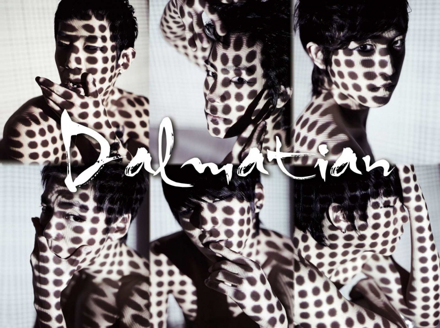 Dalmatian Dalmatian cover artwork