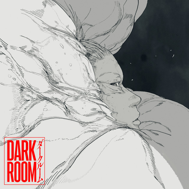 Dios — Darkroom cover artwork