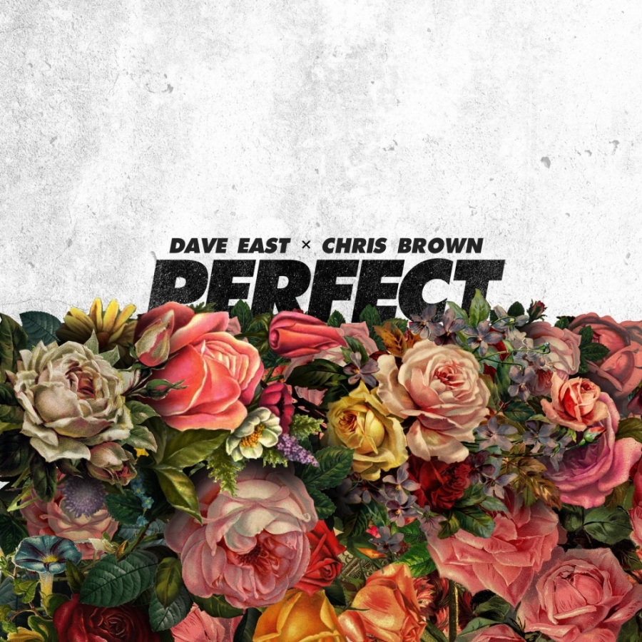 Dave East & Chris Brown Perfect cover artwork