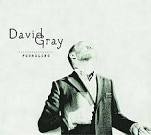 David Gray — Foundling cover artwork