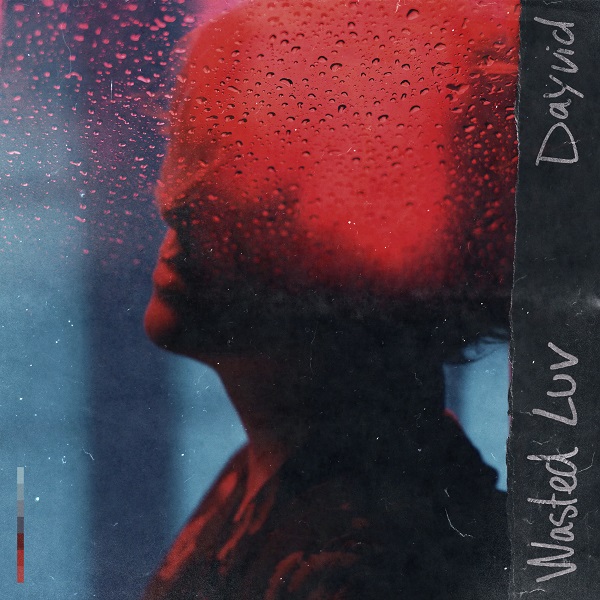DAYVID — Wasted Luv cover artwork