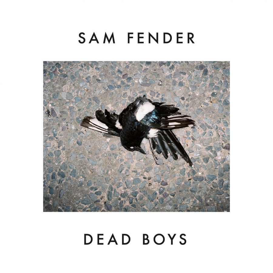 Sam Fender Dead Boys cover artwork