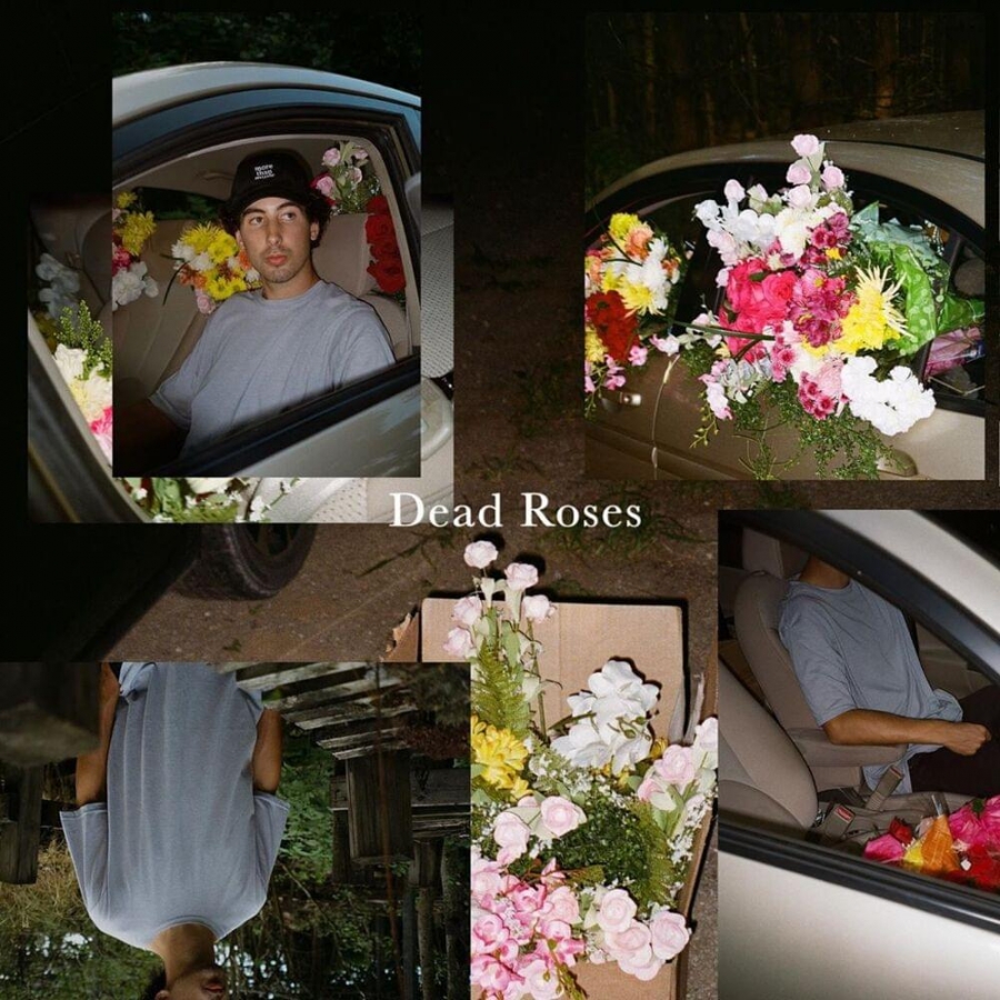 Ollie Dead Roses cover artwork