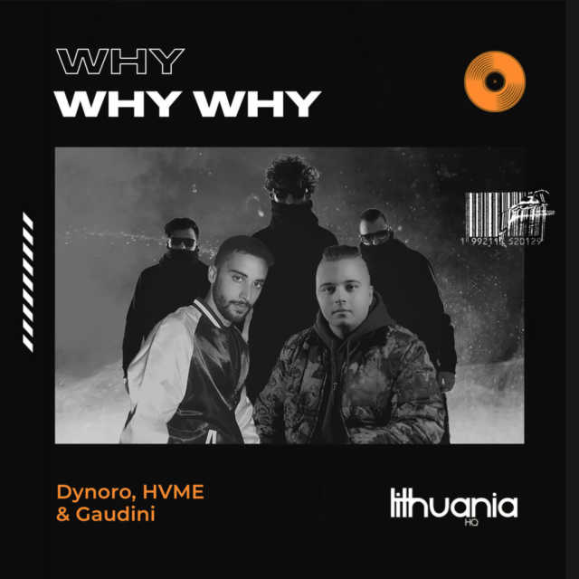 Dynoro, HVME, & Gaudini — Why Why Why cover artwork