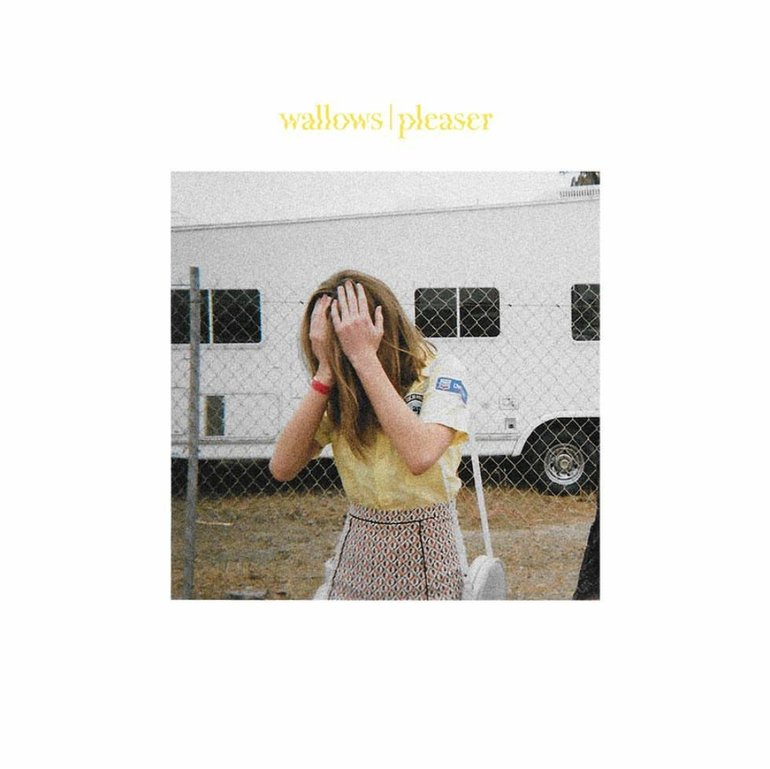 Wallows — Pleaser cover artwork