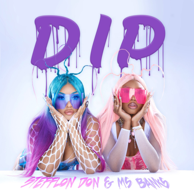 Stefflon Don & Ms Banks — Dip cover artwork